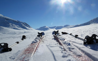 ski in Sarek
